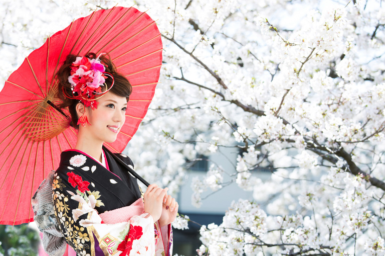 Sakura, az élet metafórája